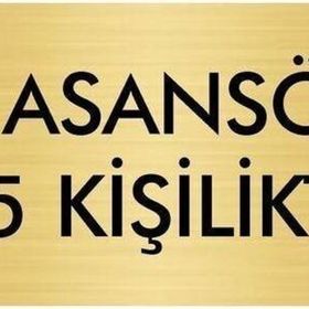 Özarslan Dizayn Departman Kapı İsimliği Asansör 5 Kişiliktir 5x20 cm Altın Renk Metal Yönlendirme Levhası