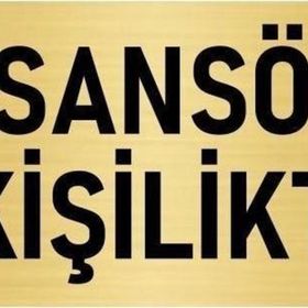Özarslan Dizayn Departman Kapı İsimliği Asansör 5 Kişiliktir 7x20 cm Altın Renk Metal Yönlendirme Levhası