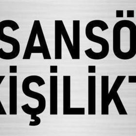 Özarslan Dizayn Departman Kapı İsimliği Asansör 6 Kişiliktir 10x20 cm Gümüş Renk Metal Yönlendirme Levhası