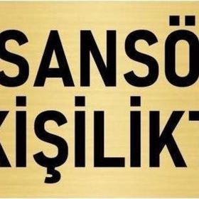 Özarslan Dizayn Departman Kapı İsimliği Asansör 8 Kişiliktir 10x20 cm Altın Renk Metal Yönlendirme Levhası