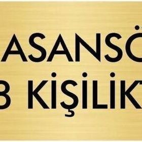 Özarslan Dizayn Departman Kapı İsimliği Asansör 8 Kişiliktir 7x20 cm Altın Renk Metal Yönlendirme Levhası