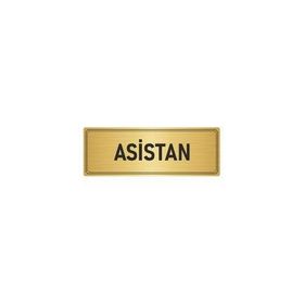 Özarslan Dizayn Departman Kapı İsimliği Asistan 5x20 cm Altın Renk Metal Yönlendirme Levhası