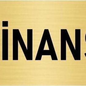 Özarslan Dizayn Departman Kapı İsimliği Finans 7x20 cm Altın Renk Metal Yönlendirme Levhası