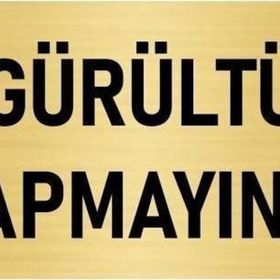 Özarslan Dizayn Departman Kapı İsimliği Gürültü Yapmayınız 10x20 cm Altın Renk Metal Yönlendirme Levhası