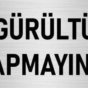 Özarslan Dizayn Departman Kapı İsimliği Gürültü Yapmayınız 7x20 cm Gümüş Renk Metal Yönlendirme Levhası