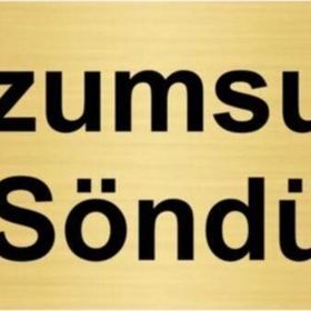 Özarslan Dizayn Departman Kapı İsimliği Lüzumsuzsa Söndür 10x20 cm Altın Renk Metal Yönlendirme Levhası