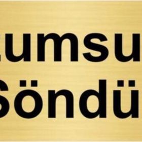 Özarslan Dizayn Departman Kapı İsimliği Lüzumsuzsa Söndür 10x20 cm Altın Renk Metal Yönlendirme Levhası