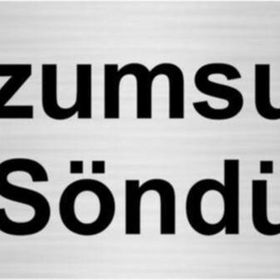 Özarslan Dizayn Departman Kapı İsimliği Lüzumsuzsa Söndür 5x20 cm Gümüş Renk Metal Yönlendirme Levhası