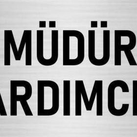 Özarslan Dizayn Departman Kapı İsimliği Müdür Yardımcısı 5x20 cm Gümüş Renk Metal Yönlendirme Levhası