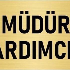 Özarslan Dizayn Departman Kapı İsimliği Müdür Yardımcısı 7x20 cm Altın Renk Metal Yönlendirme Levhası
