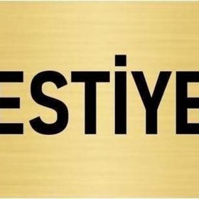 Özarslan Dizayn Departman Kapı İsimliği Vestiyer 7x20 cm Altın Renk Metal Yönlendirme Levhası