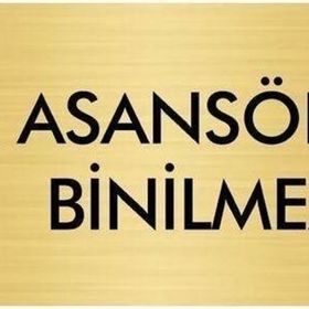 Özarslan Dizayn Departman Kapı İsimliği Yük Asansörüdür Binilmez 5x20 cm Altın Renk Metal Yönlendirme Levhası
