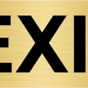 Özarslan Dizayn Exit 7x20 cm Altın Renk Metal Yönlendirme Levhası
