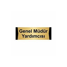 Özarslan Dizayn Genel Müdür Yardımcısı 10x20 cm Altın Renk Metal Yönlendirme Levhası