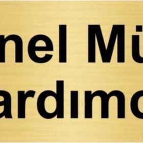 Özarslan Dizayn Genel Müdür Yardımcısı 10x20 cm Altın Renk Metal Yönlendirme Levhası