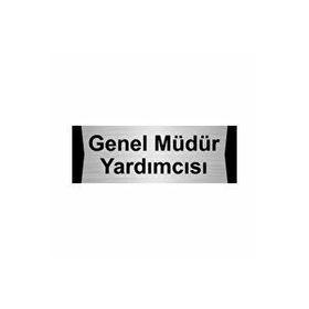 Özarslan Dizayn Genel Müdür Yardımcısı 10x20 cm Gümüş Renk Metal Yönlendirme Levhası