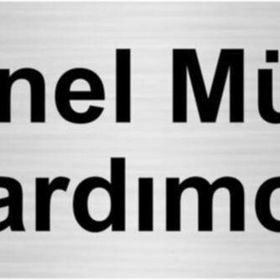 Özarslan Dizayn Genel Müdür Yardımcısı 5x20 cm Gümüş Renk Metal Yönlendirme Levhası