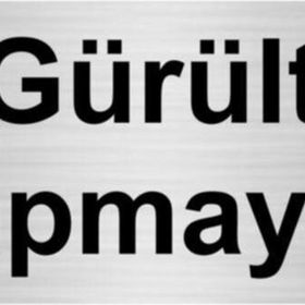 Özarslan Dizayn Gürültü Yapmayınız 10x20 cm Gümüş Renk Metal Yönlendirme Levhası