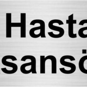 Özarslan Dizayn Hasta Asansörü 10x20 cm Gümüş Renk Metal Yönlendirme Levhası