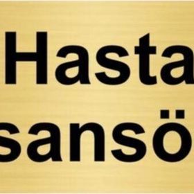 Özarslan Dizayn Hasta Asansörü 5x20 cm Altın Renk Metal Yönlendirme Levhası