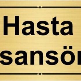 Özarslan Dizayn Hasta Asansörü 7x20 cm Altın Renk Metal Yönlendirme Levhası