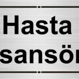 Özarslan Dizayn Hasta Asansörü 7x20 cm Gümüş Renk Metal Yönlendirme Levhası
