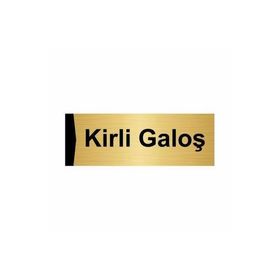 Özarslan Dizayn Kirli Galoş 10x20 cm Altın Renk Metal Yönlendirme Levhası
