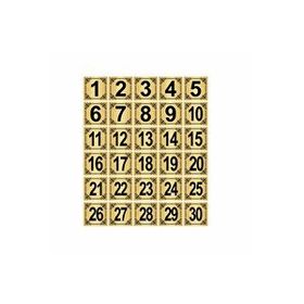 Özarslan Dizayn Metal 10x10 cm 30 Adet Altın Renk Metal Kapı Masa Dolap Numarası