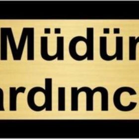 Özarslan Dizayn Müdür Yardımcısı 10x20 cm Altın Renk Metal Yönlendirme Levhası