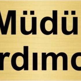 Özarslan Dizayn Müdür Yardımcısı 10x20 cm Altın Renk Metal Yönlendirme Levhası