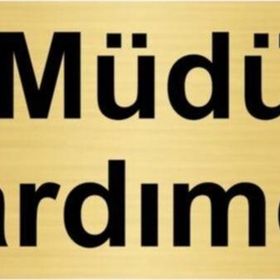 Özarslan Dizayn Müdür Yardımcısı 5x20 cm Altın Renk Metal Yönlendirme Levhası