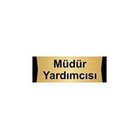 Özarslan Dizayn Müdür Yardımcısı 7x20 cm Altın Renk Metal Yönlendirme Levhası
