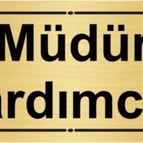 Özarslan Dizayn Müdür Yardımcısı 7x20 cm Altın Renk Metal Yönlendirme Levhası