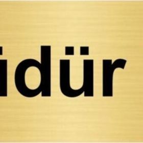 Özarslan Dizayn Müdür Yrd 5x20 cm Altın Renk Metal Yönlendirme Levhası