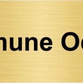 Özarslan Dizayn Numune Odası 10x20 cm Altın Renk Metal Yönlendirme Levhası
