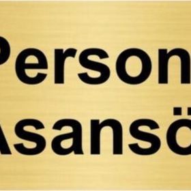 Özarslan Dizayn Personel Asansörü 7x20 cm Altın Renk Metal Yönlendirme Levhası