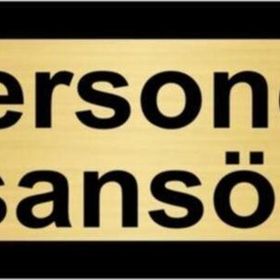 Özarslan Dizayn Personel Asansörü 7x20 cm Altın Renk Metal Yönlendirme Levhası