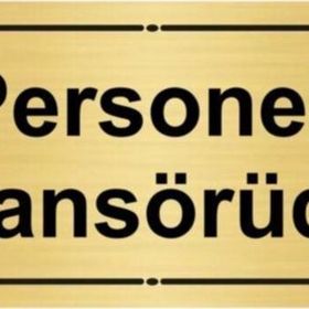 Özarslan Dizayn Personel Asansörüdür 7x20 cm Altın Renk Metal Yönlendirme Levhası