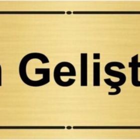 Özarslan Dizayn Ürün Geliştirme 7x20 cm Altın Renk Metal Yönlendirme Levhası