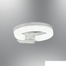 Özcan Aydınlatma Smart 8698522533117-TR Aplik