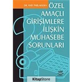 ÖZEL AMAÇLI GİRİŞİMCİLERE İLİŞKİN MUHASEBE SORUNLARI - RAIF PARLAKKAYA