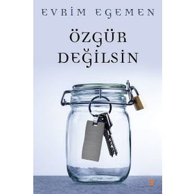 Özgür Değilsin - Evrim Egemen
