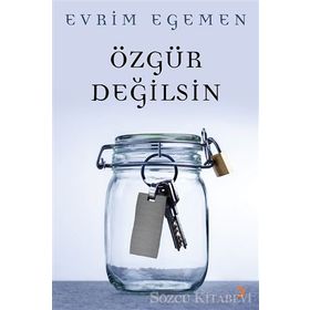 Özgür Değilsin - Evrim Egemen