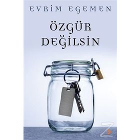 Özgür Değilsin - Evrim Egemen