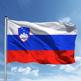 Özgüvenal 70x105 cm Slovenya Bayrağı