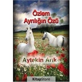 Özlem Ayrılığın Özü - Aytekin Arık