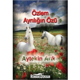 Özlem Ayrılığın Özü - Aytekin Arık