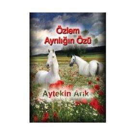 Özlem Ayrılığın Özü - Aytekin Arık