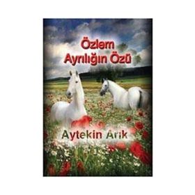Özlem Ayrılığın Özü - Aytekin Arık