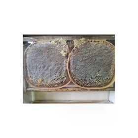 Ozmuş Bal 1,2 kg Sivas Ozmuş Köyünden Gerçek Karakovan Bal
